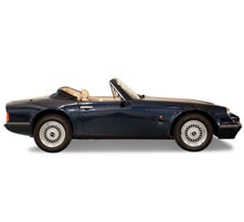 TVR Insurance