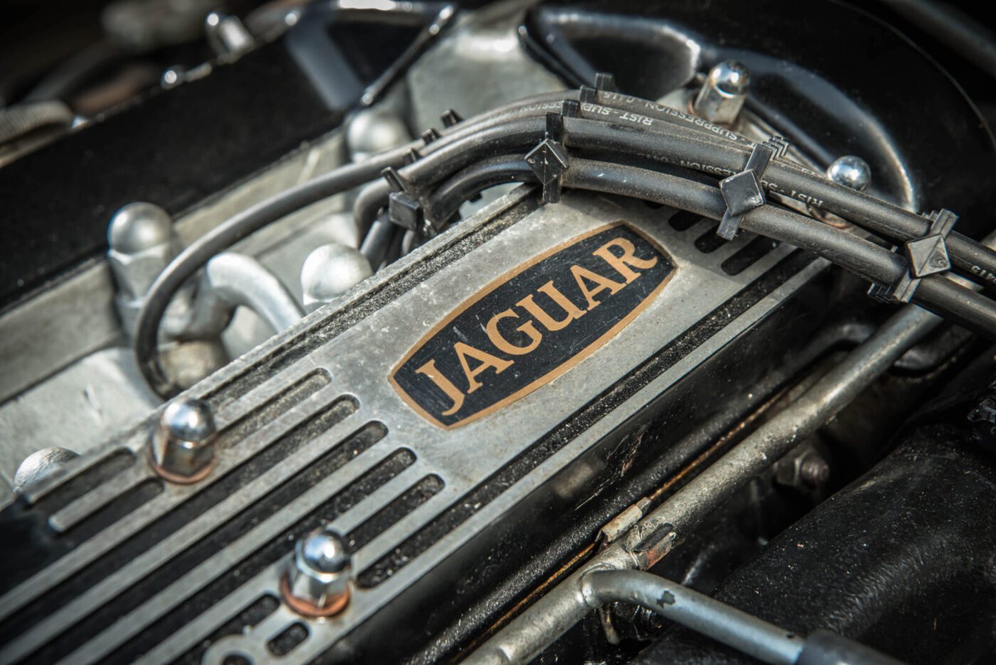 Jaguar XJ6 engine detail