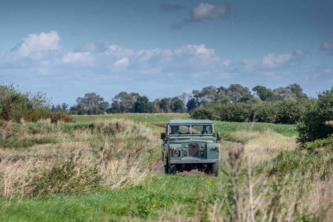 Land Rover SIIA in field