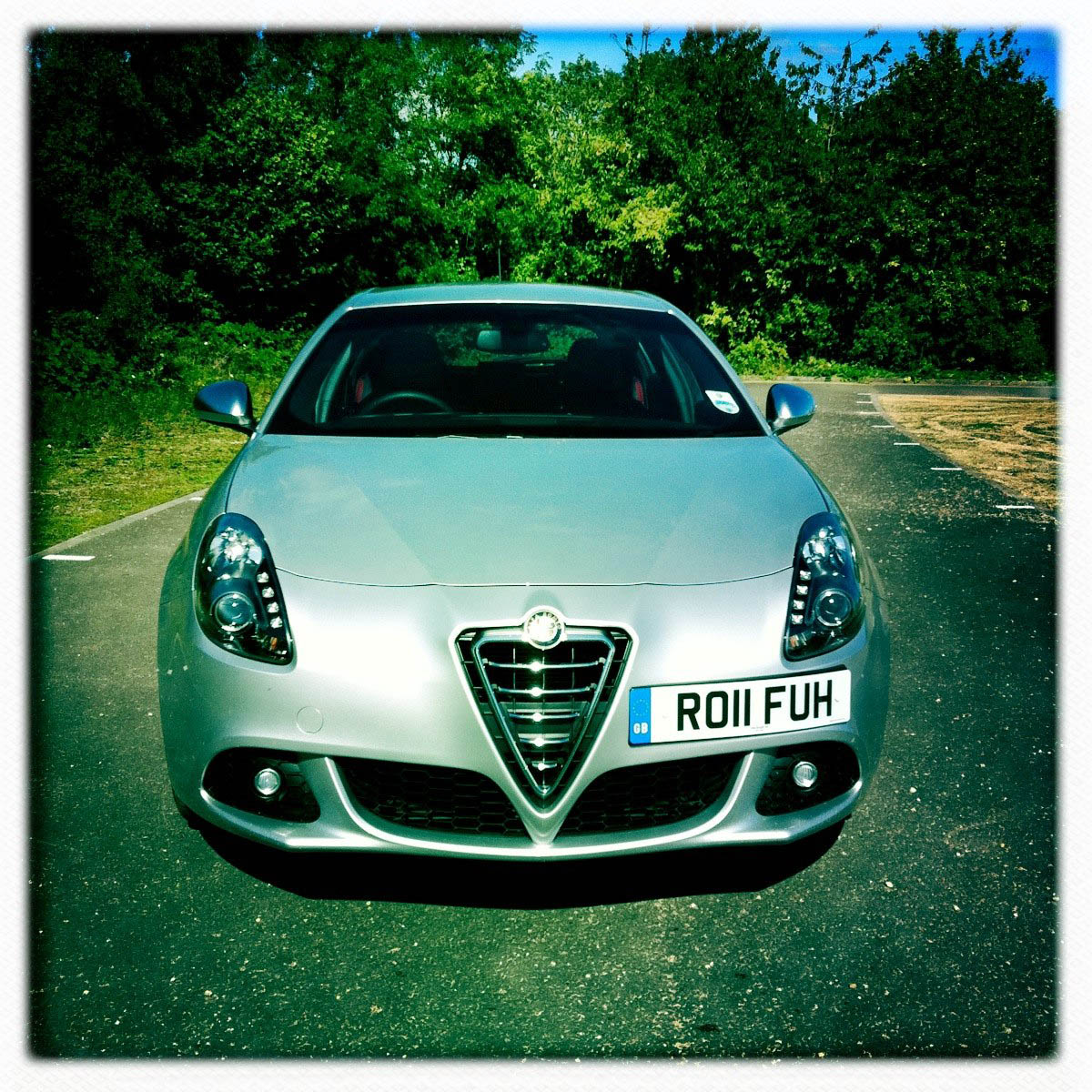 Audacious visage. Shame about that plate.
