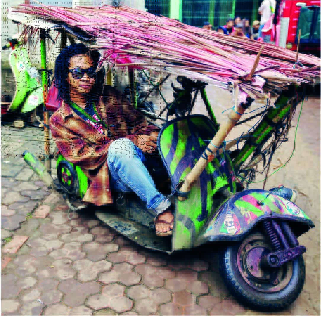 Plante gård gård Indonesian Custom Scooters