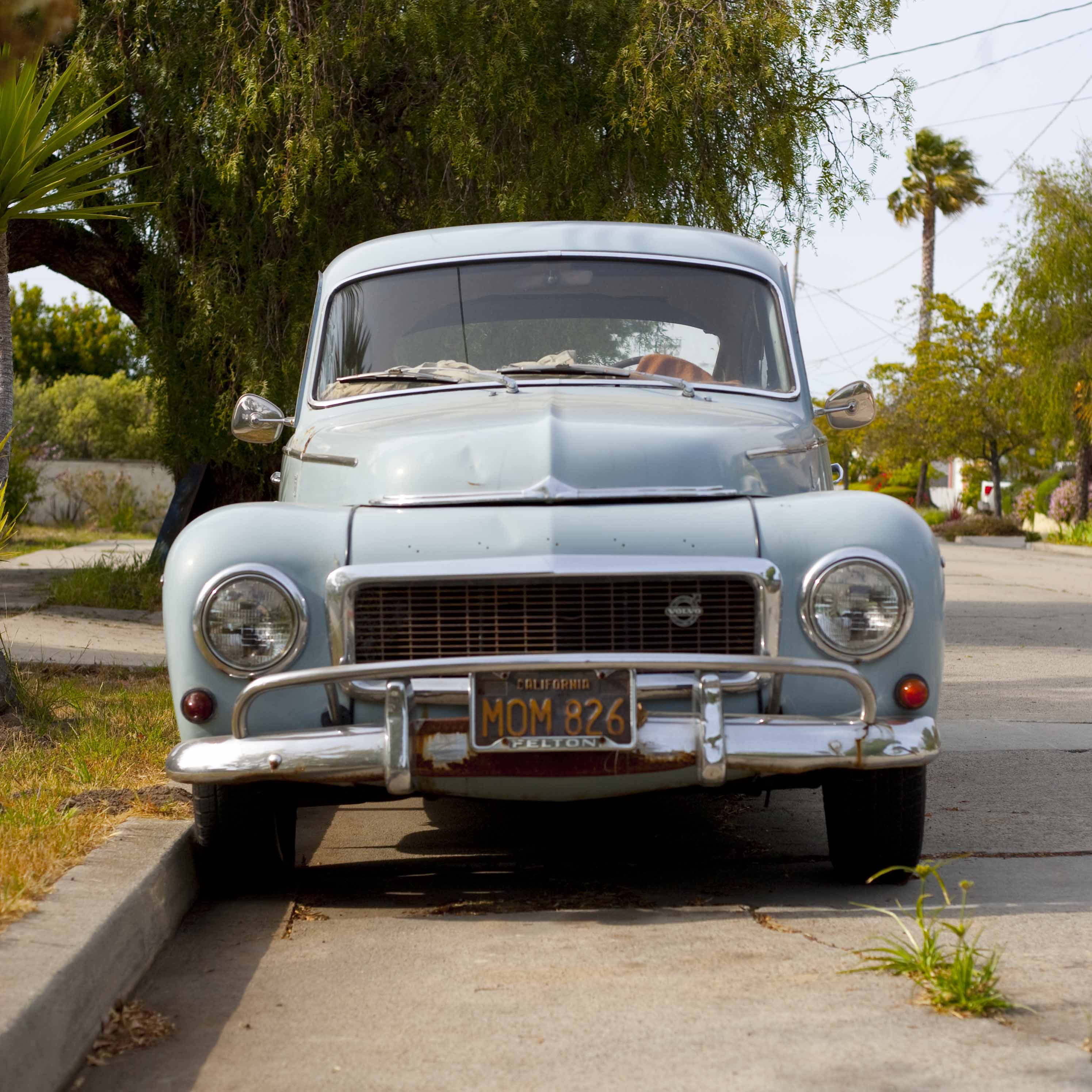 Volvo-103 (1 of 1)