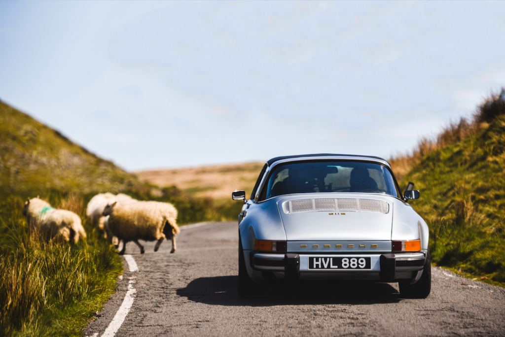 Electric 911 sheep
