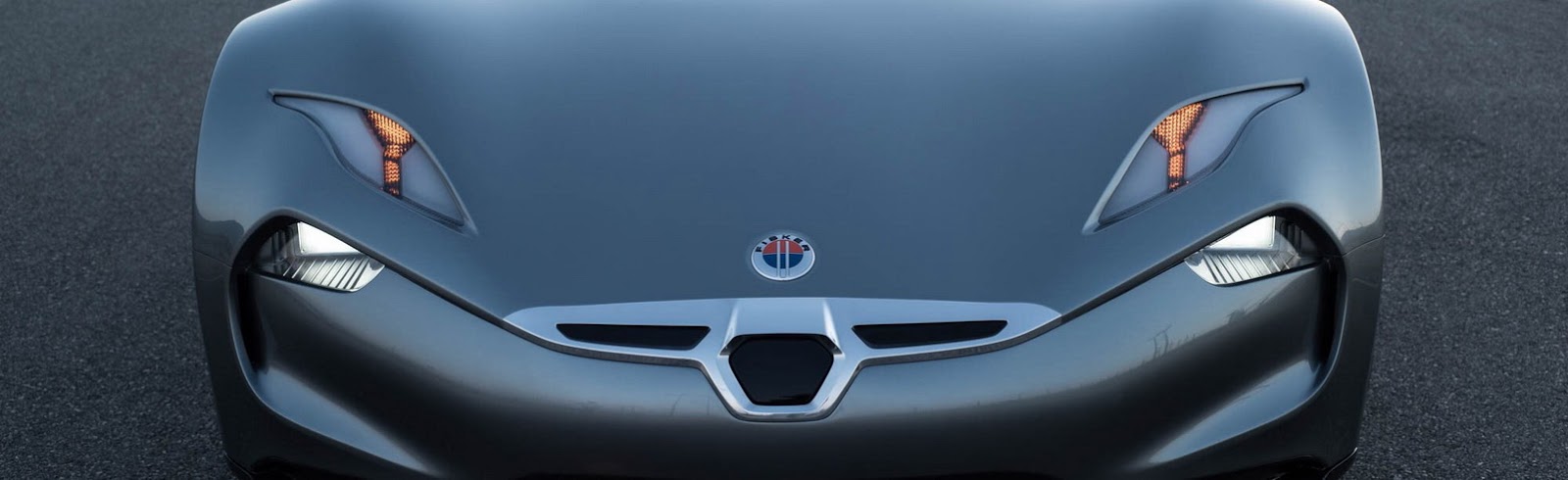 Fisker badge