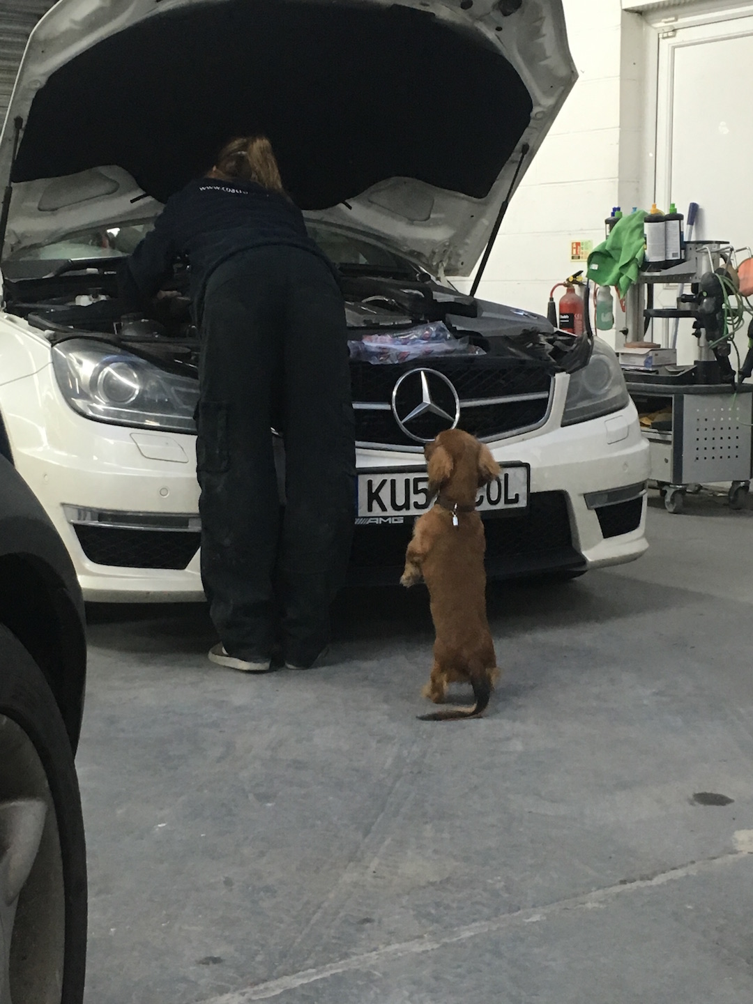 Mercedes at Kustom Kolors